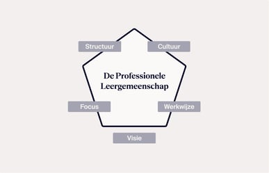De_professionele_leergemeenschap_website