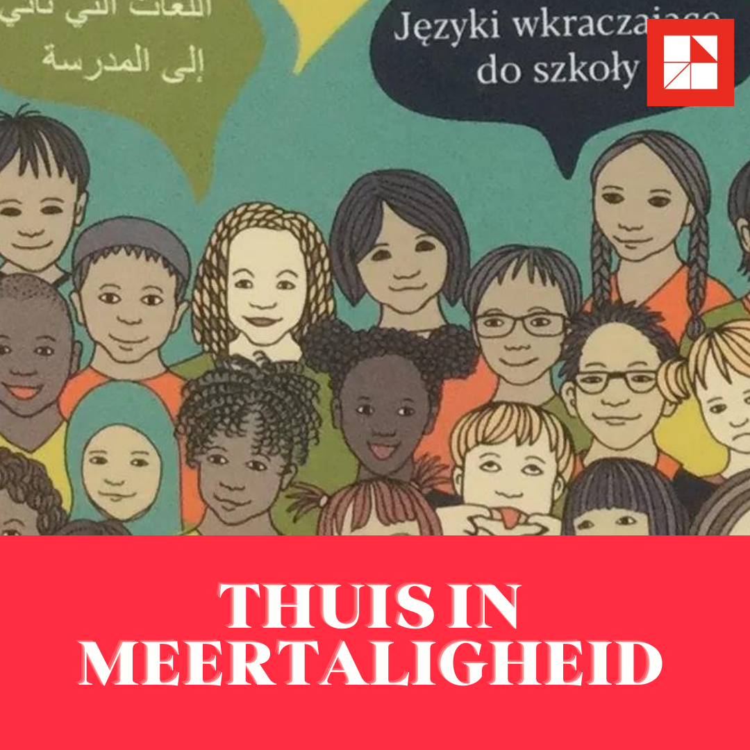 Beleid op meertaligheid: geen hype maar noodzaak